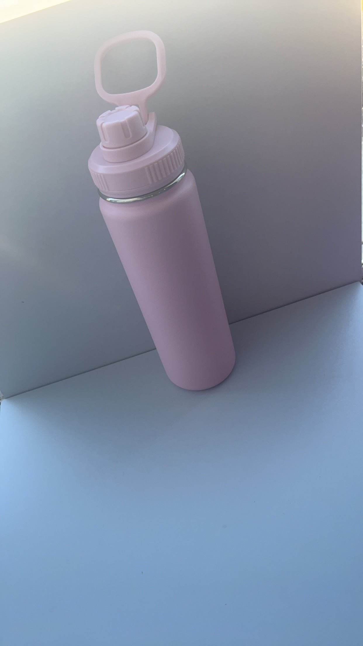 Stainless Steel Water Bottle